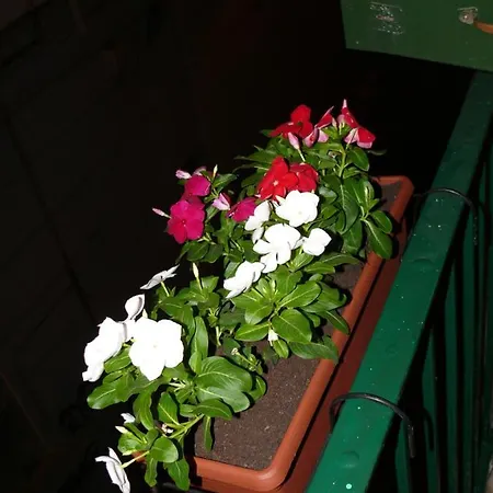 In Riviera Casa de hóspedes 3*