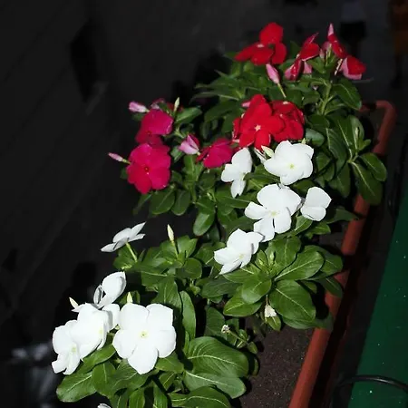 In Riviera Guest house Naples